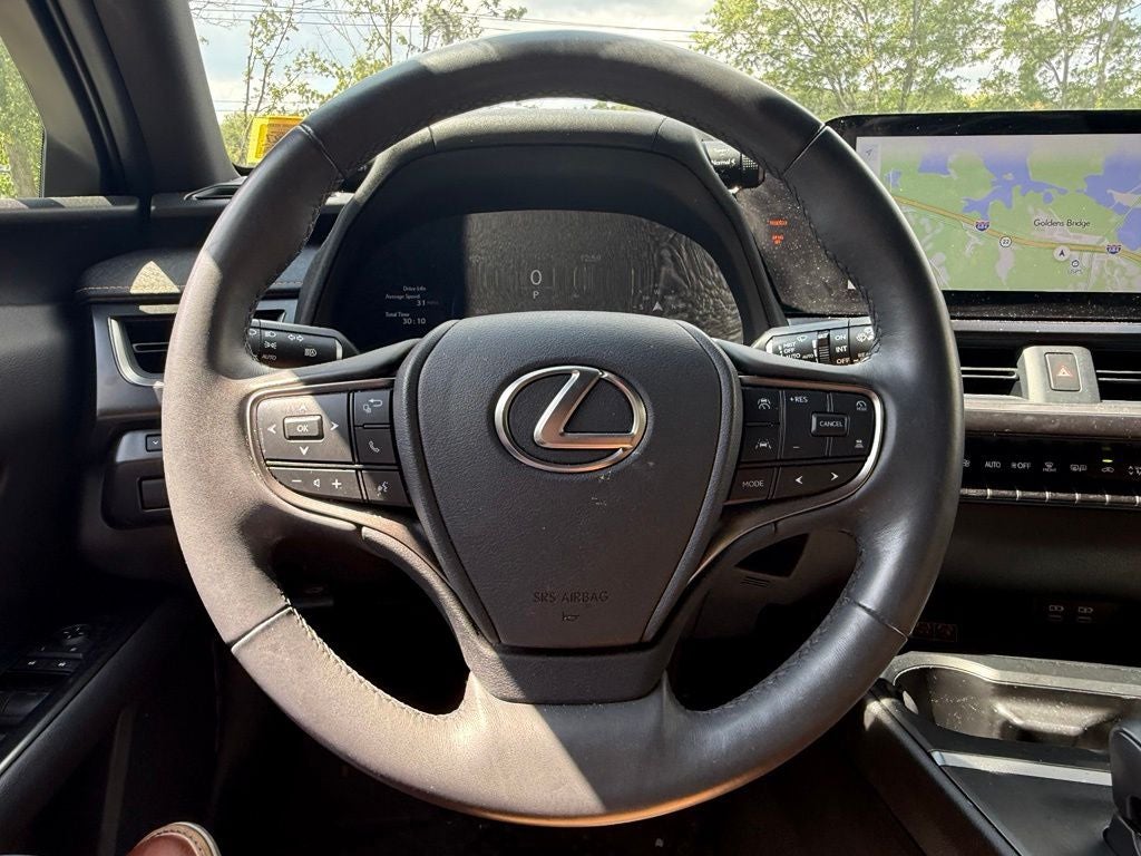 2025 Lexus UX 300h Premium