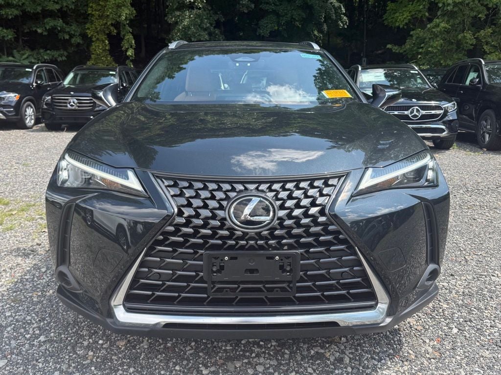 2025 Lexus UX 300h Premium