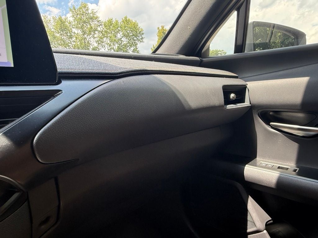 2025 Lexus UX 300h Premium