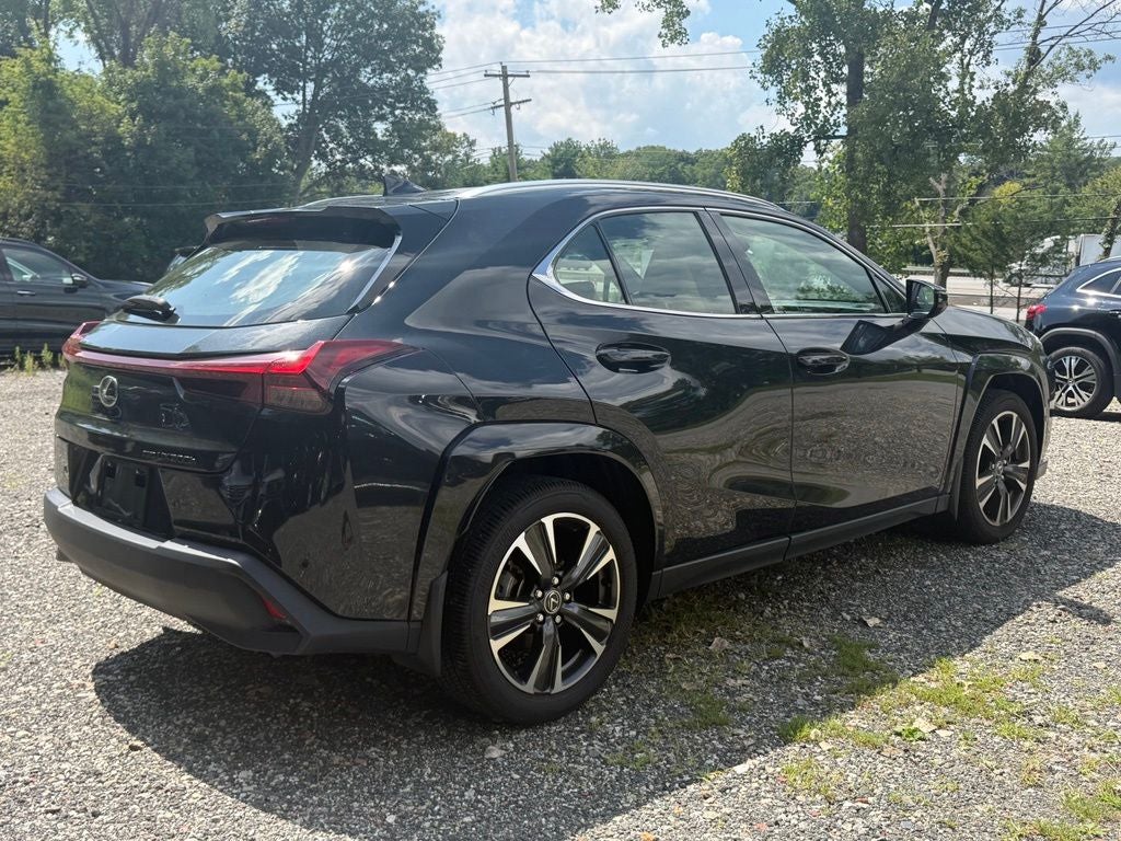 2025 Lexus UX 300h Premium